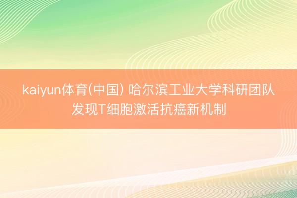 kaiyun体育(中国) 哈尔滨工业大学科研团队发现T细胞激活抗癌新机制