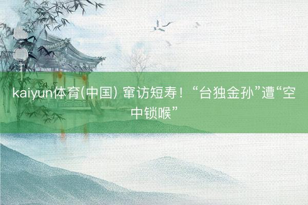 kaiyun体育(中国) 窜访短寿!“台独金孙”遭“空中锁喉”