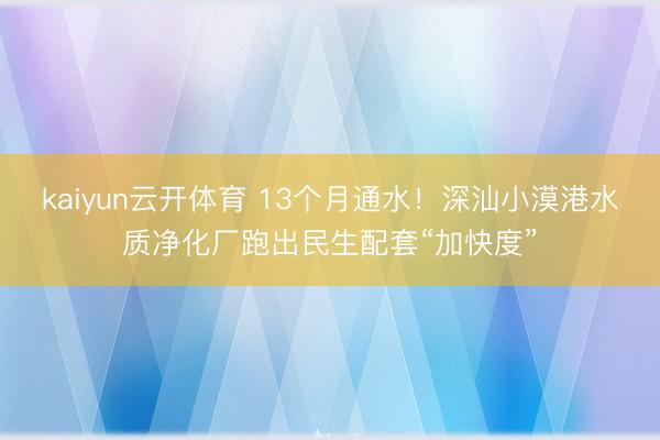 kaiyun云开体育 13个月通水！深汕小漠港水质净化厂跑出民生配套“加快度”